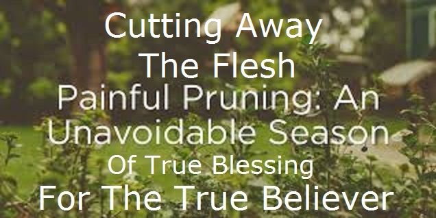 62070793_2099108816864205_8904986162741903360_n