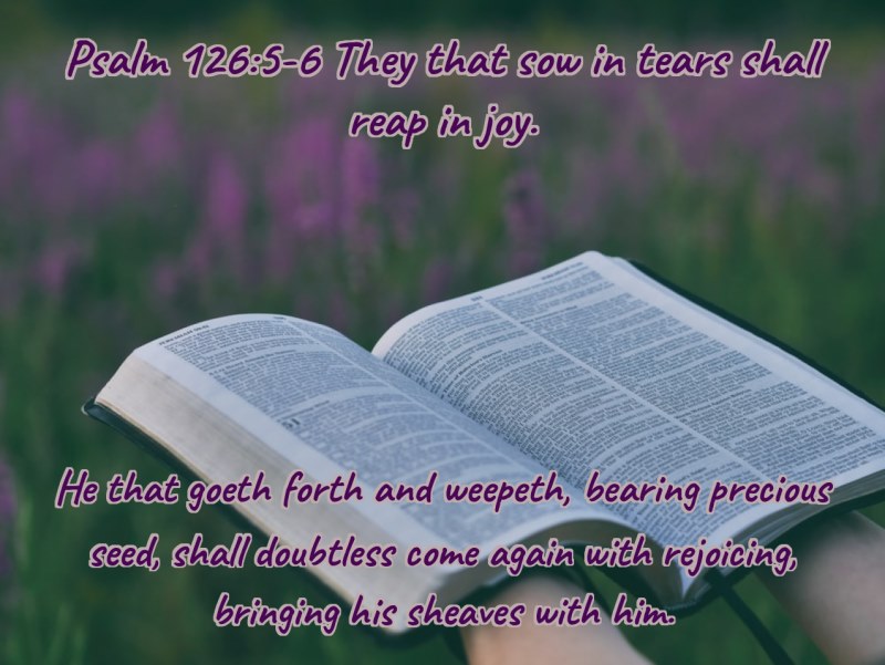 84696295_10220716869021177_6413503195137441792_n