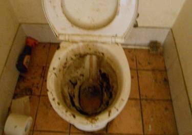 86709204_312415913048231_4156660415536824320_n