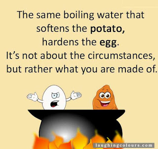 i quote boiling water egg potato hard soft