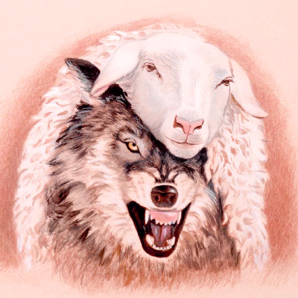 Serigala Berbaju Domba