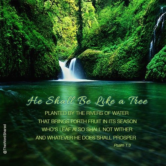 713351d569b8fcd1d078a63ea458612b