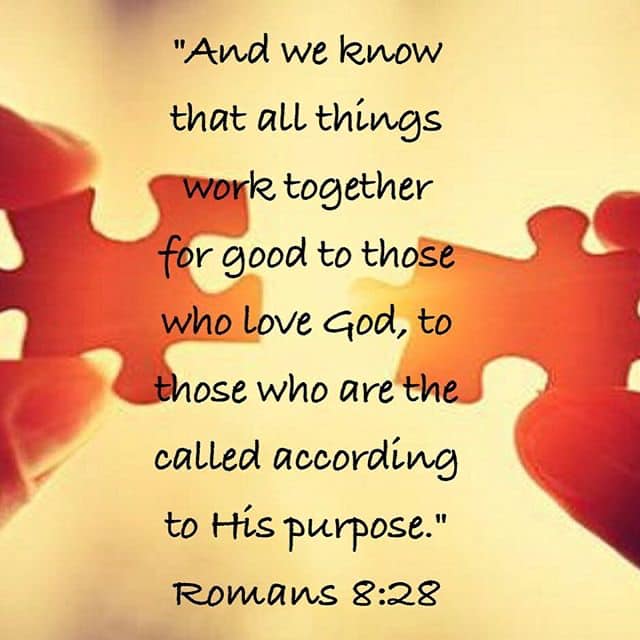 87511804_10218182011915344_544980450204975104_n