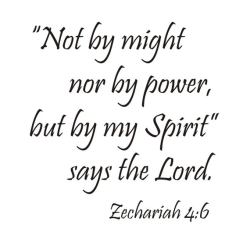 il_570xN.1937088262_o2zd