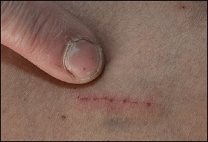 1155226530617_10410729