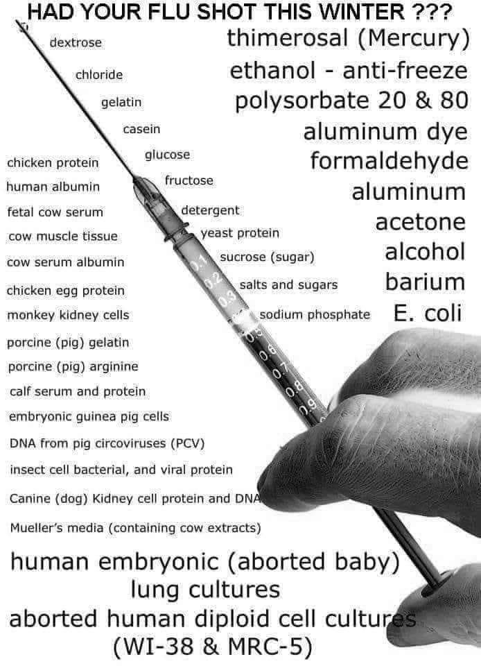 94207737_10217809712327858_2868526292410564608_n