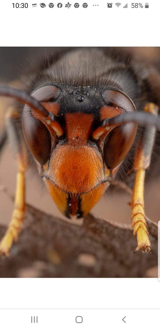 FB_IMG_1588745657442