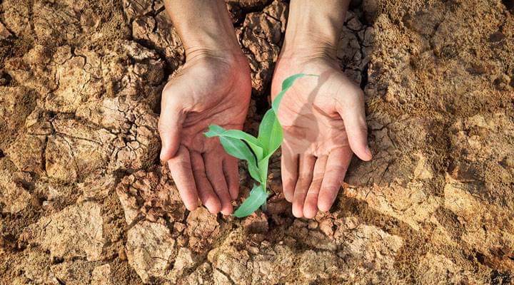 FB_IMG_1589400019588